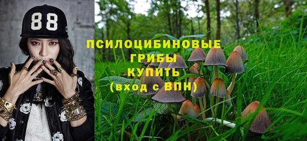 соль ск Бронницы